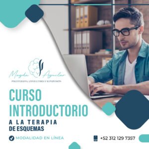 Curso Introductorio a la Terapia de Esquemas